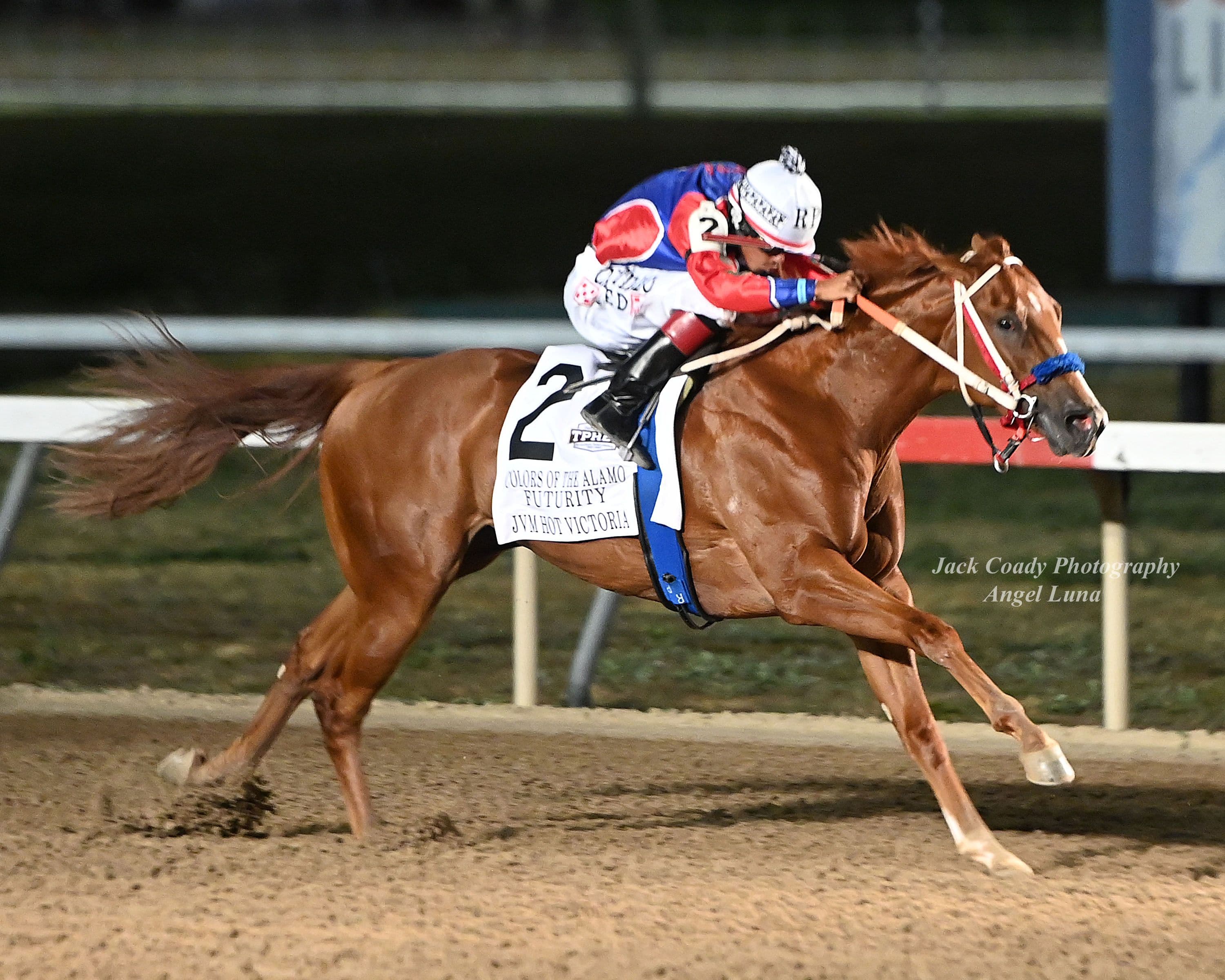 Jvm Hot Victoria Dominates Colors Of The Alamo Paint & Appaloosa Futurity