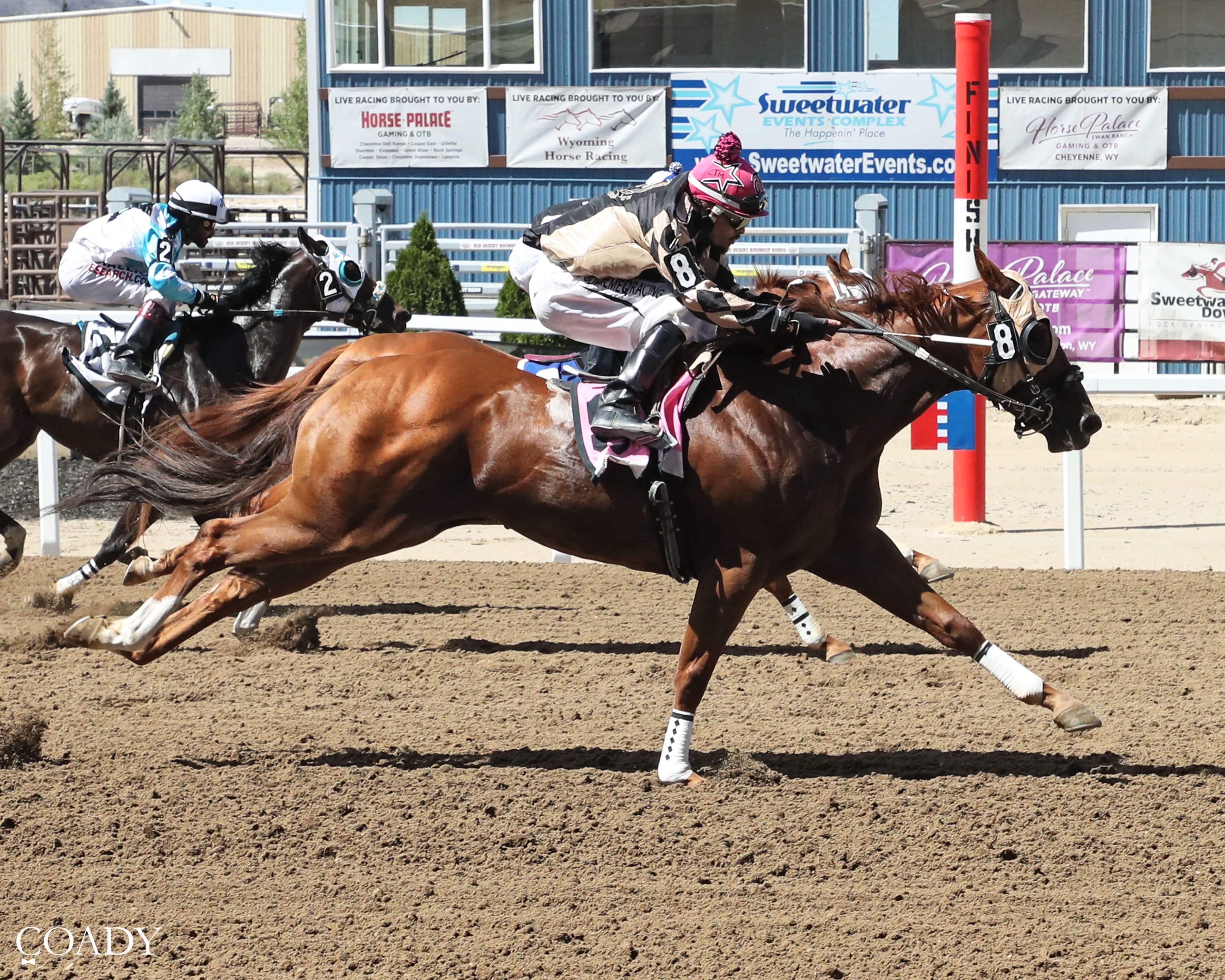 Flying Rocco Fastest In Sweetwater Downs Derby Trials