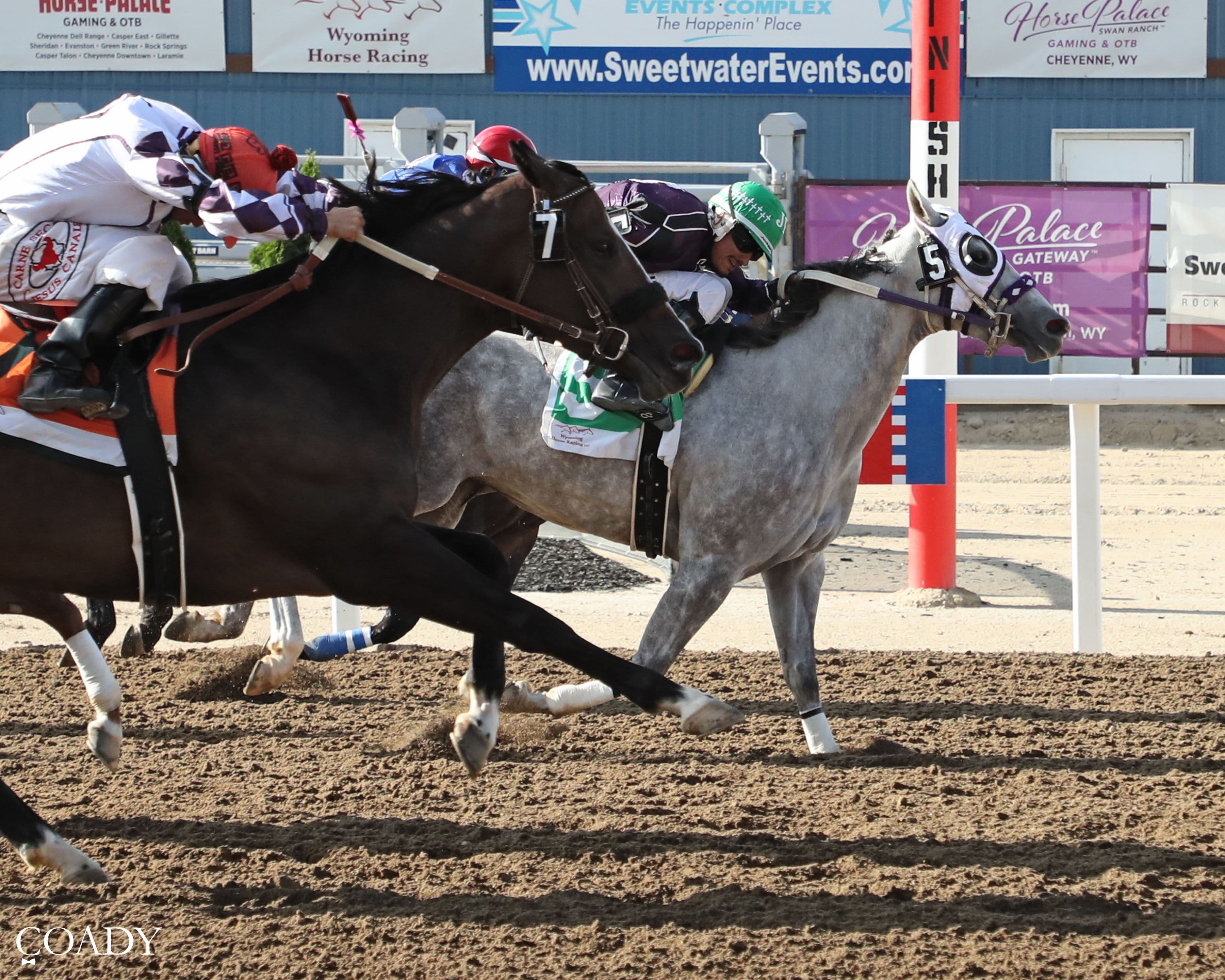 Miss Pollys Train Earns First Stakes Victory in Seedskadee Overnight Stakes