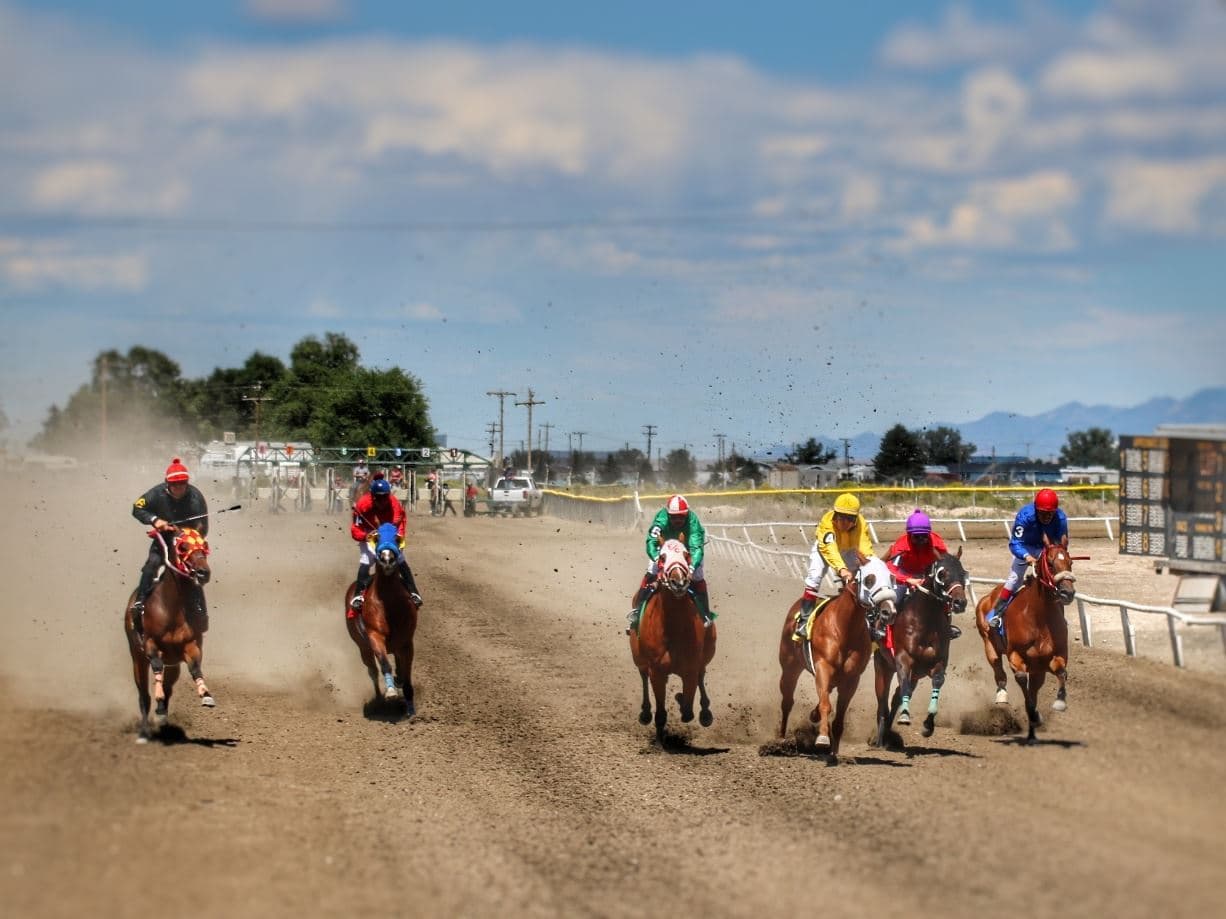 Sweet Racy Eagle Holds On To Win Yellow Rose Fillies And Mares Stakes