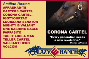 www.lazyeranch.net/site/index.asp