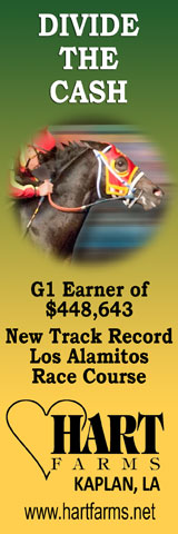 www.stallionesearch.com/show_stallion.asp?horse=1109