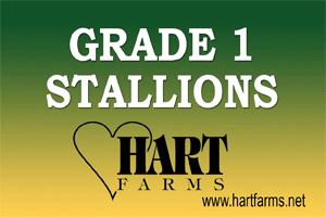   www.hartfarms.net/