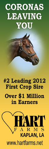 www.stallionesearch.com/show_stallion.asp?horse=781