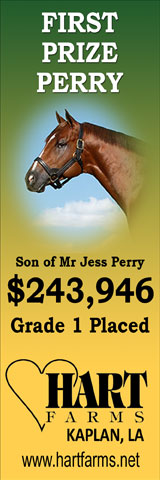 www.stallionesearch.com/show_stallion.asp?horse=656