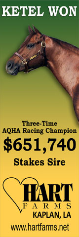 www.stallionesearch.com/show_stallion.asp?horse=782