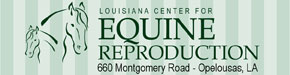 www.laequine.com