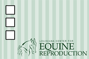   www.laequine.com
