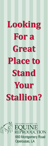   www.laequine.com