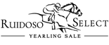 Sale Logo