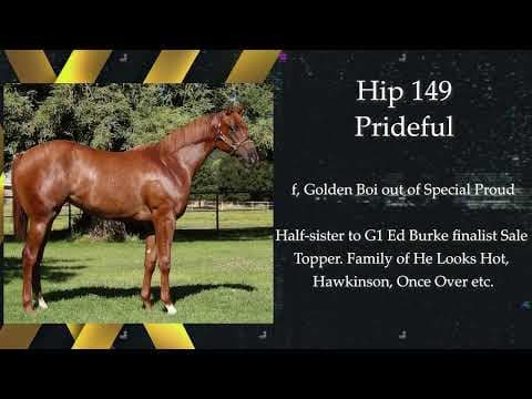 Ed Allred Has Another Great Yearling Consignment For The 2025 Los Alamitos Equine Sale