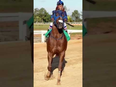 Blacktag Wins The America Futurity And Leads The Paraguayan Celebration In Brazil!