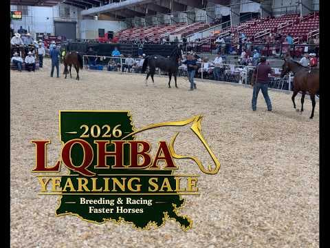 LQHBA Yearling Sale Day 2 Video Recap Highlights Top Sellers in Kinder