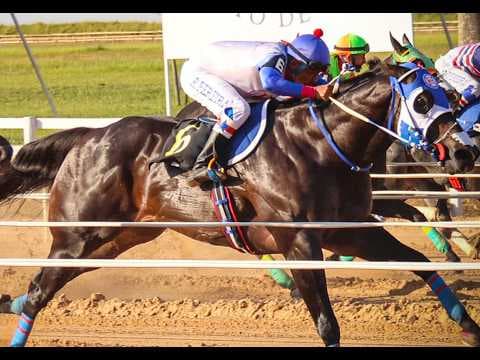 Quartel Fantastic Is Leading Derby Winner After Capturing Second Leg of Derby Triple Crown Series!