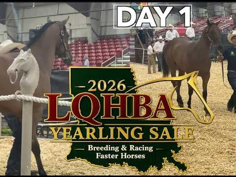 LQHBA Yearling Sale Day 1 Video Recap Highlights Top Sellers in Kinder