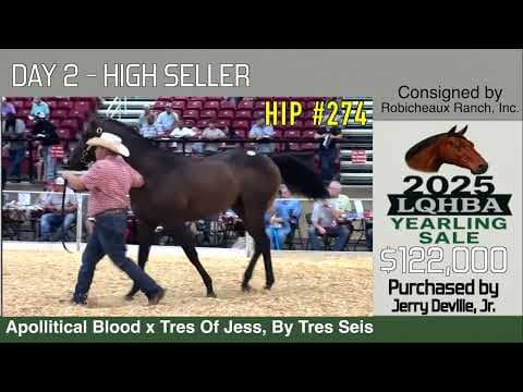 Day 2 Recap from the 2025 LQHBA Yearling Sale (VIDEO)