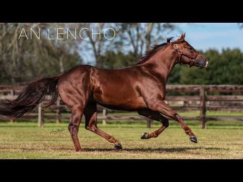 Stallion photographed from a specific angle
