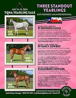 Paragon Farms to Offer Three Well-Bred Yearlings at TQHA Yearling Sale
