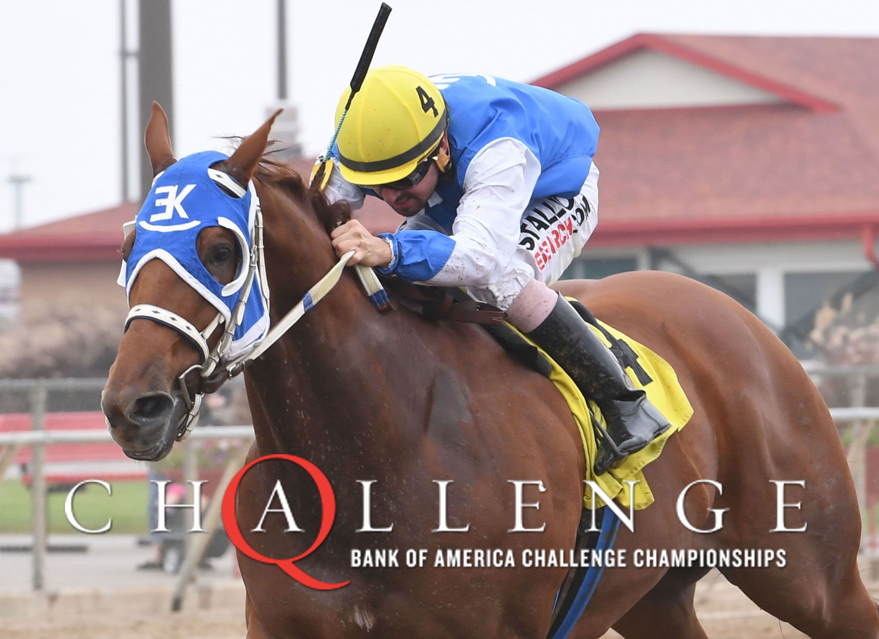 Quarter Horse Regional Challenge Finals at Prairie Meadows Set for August 14-15th