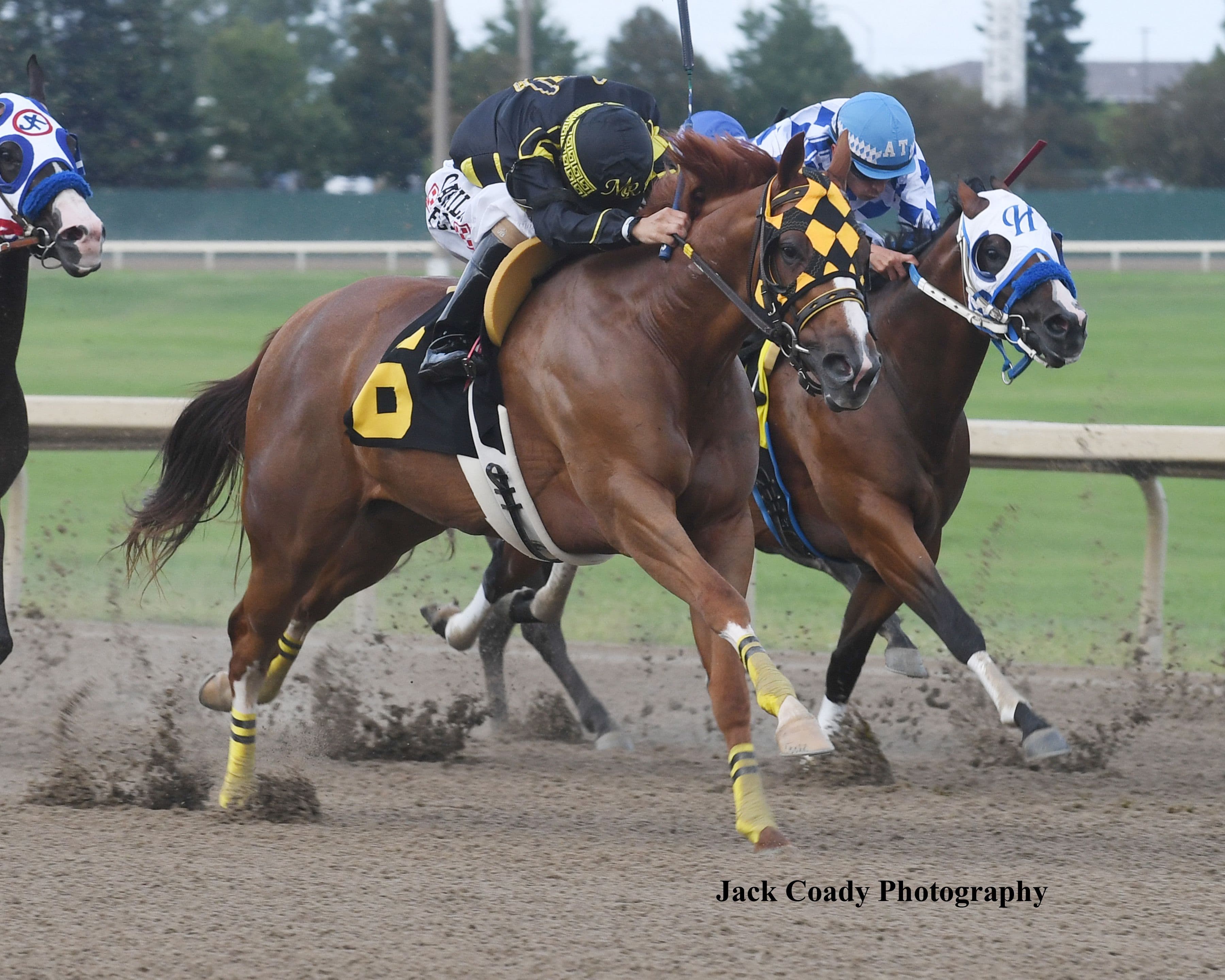Margarets Cowboy Rolls to Adequan Prairie Meadows Derby Challenge Victory