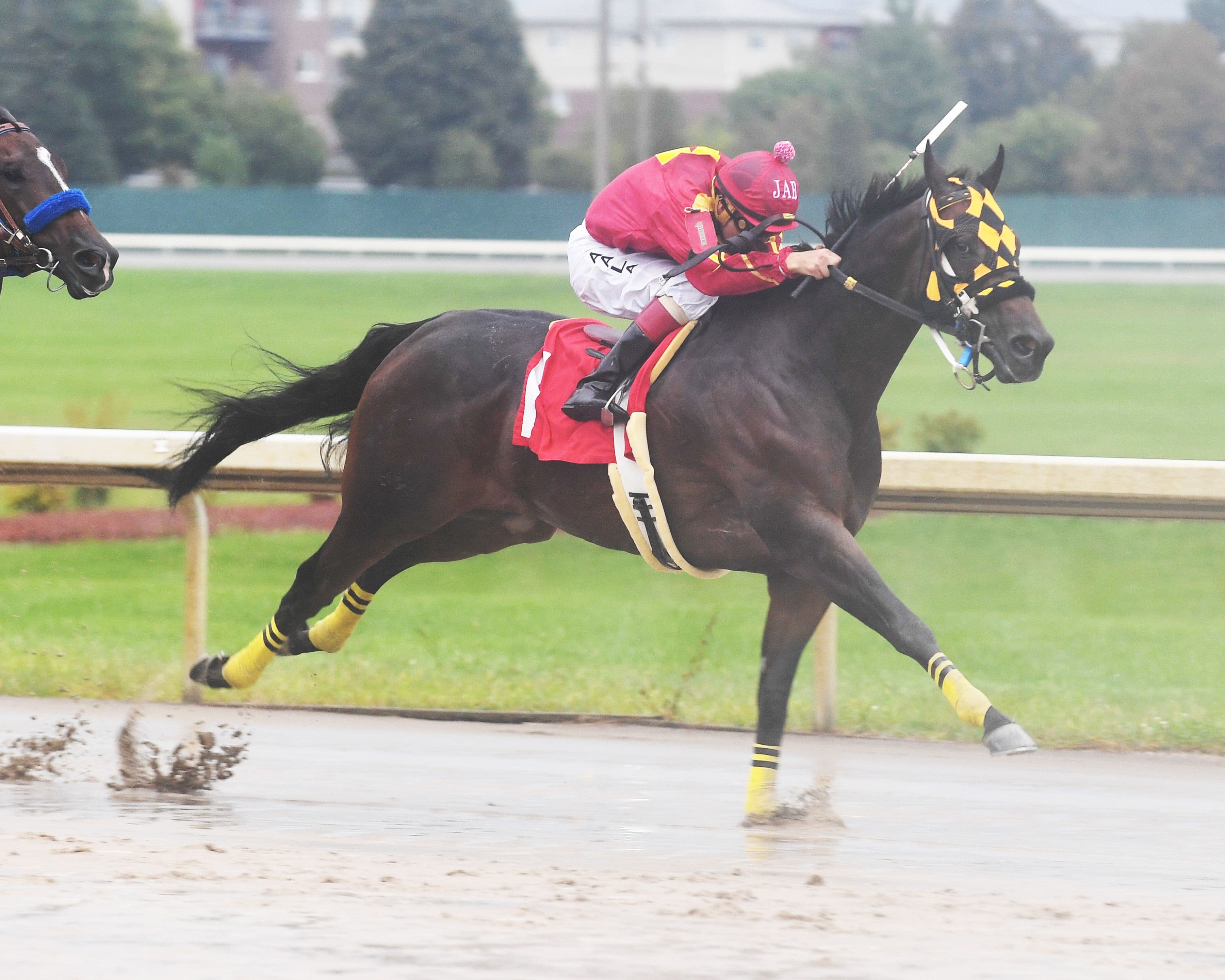 Hooked N Gone Wins AQHA Prairie Meadows Championship Challenge (G2)