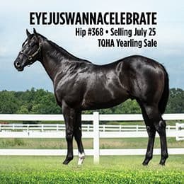 Hip #368 Eyejuswannacelebrate Offered In The TQHA Yearling Sale