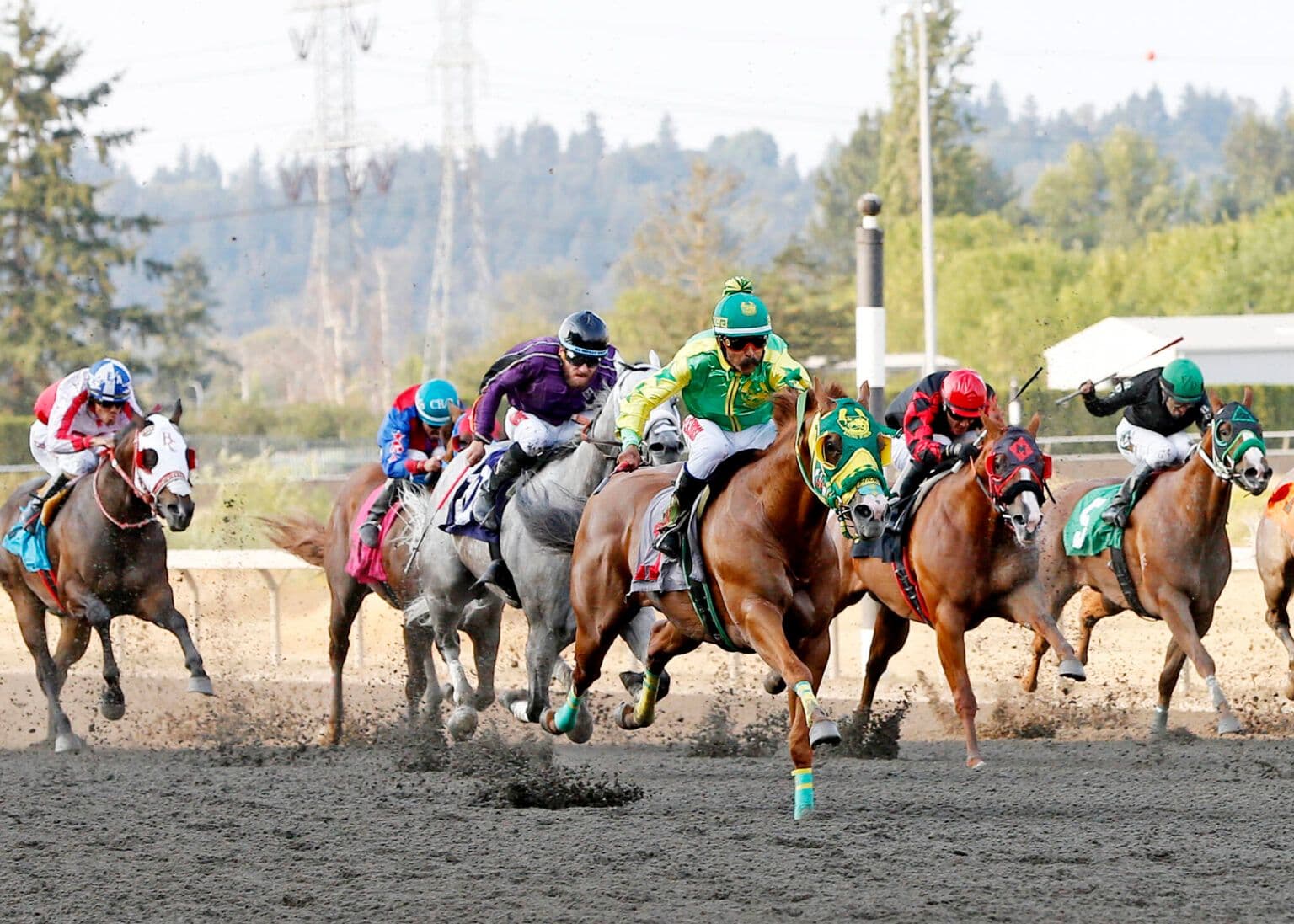 Bee A Freight Train Prevails In $52,731 AQHA Emerald Downs Championship Challenge