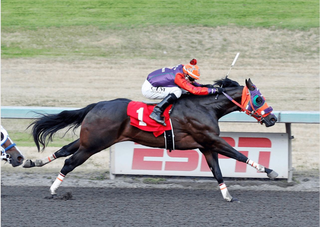 Mysterious Hero Prevails In $70,307 John Deere Emerald Downs Juvenile Challenge