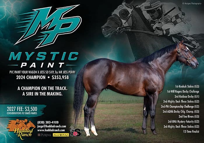 AQHA Racing Champion Mystic Paint to Launch Stallion Career at Haddad Ranch