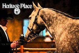 Horse Listing Now Available for 48th Annual Heritage Place Quarter Horse Yearling Sale