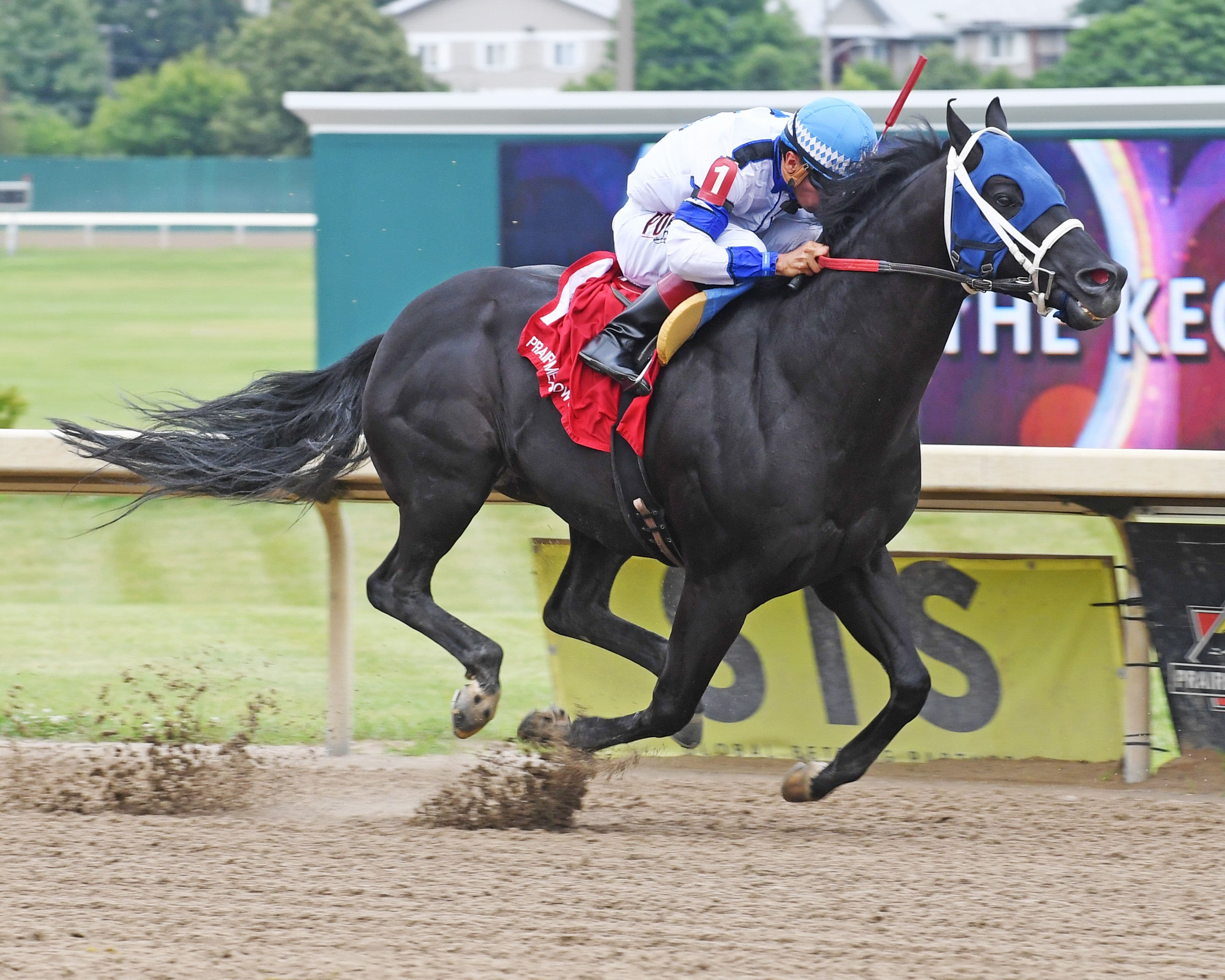 Champions Take Center Stage In Prairie Meadows Challenge Stakes Friday Night