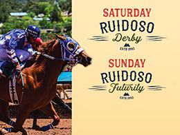 stallionesearch ruidoso downs horse