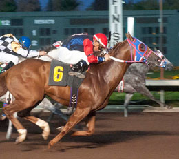 los alamitos horse racing results