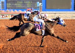 StallionESearch.com - The First Stop in Stallion Research for Breeders of Racing Quarter Horses